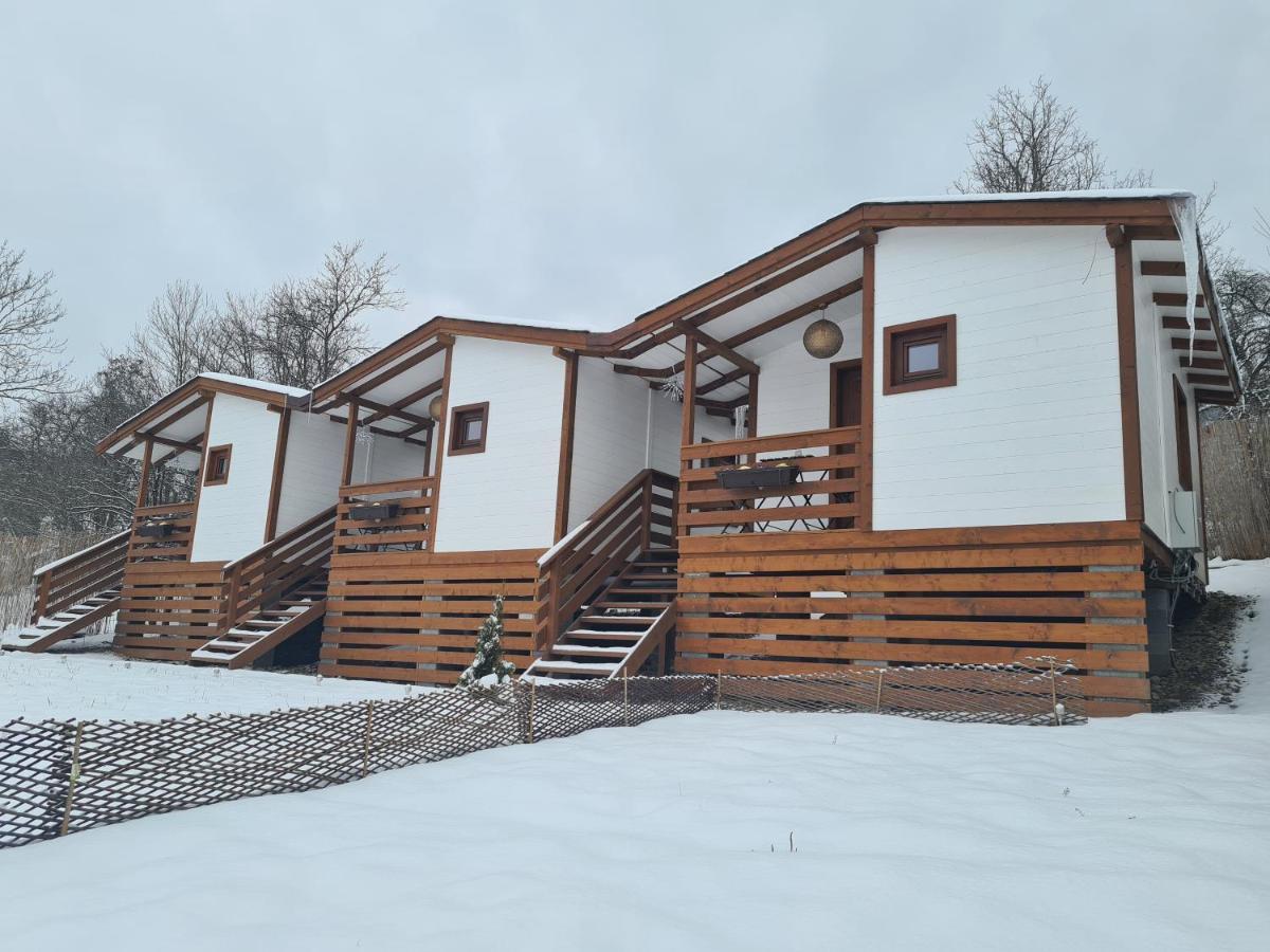 Hotel Flori Haus Saschiz Exteriér fotografie